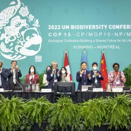 UN Biodiversity Conference (COP 15) held in Montreal